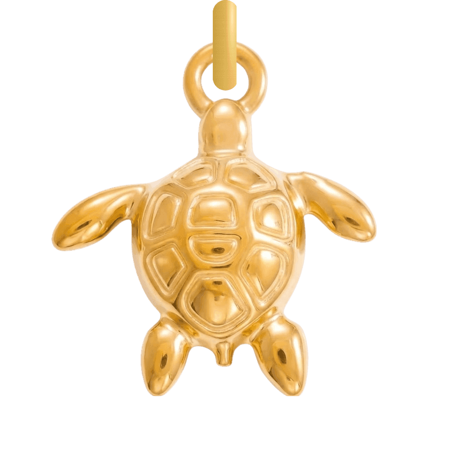 Schildpad