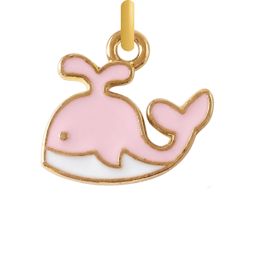 Walvis